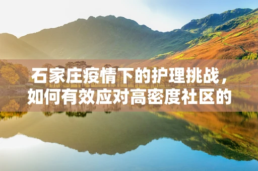 石家庄疫情下的护理挑战，如何有效应对高密度社区的护理需求？