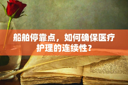 船舶停靠点，如何确保医疗护理的连续性？