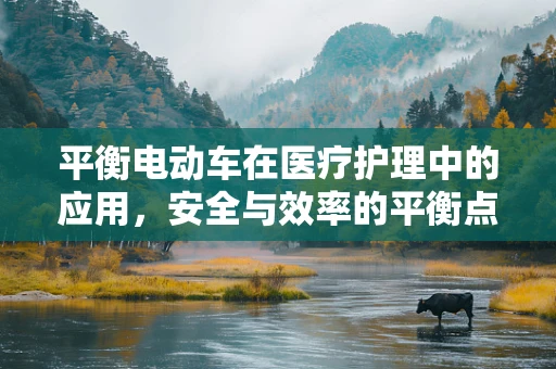 平衡电动车在医疗护理中的应用，安全与效率的平衡点在哪里？