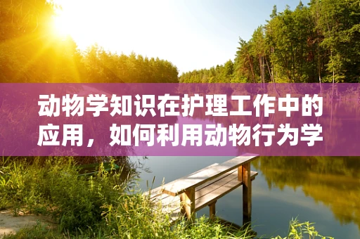 动物学知识在护理工作中的应用，如何利用动物行为学提升患者康复体验？