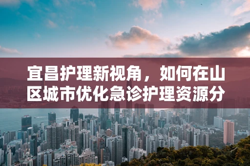 宜昌护理新视角，如何在山区城市优化急诊护理资源分配？