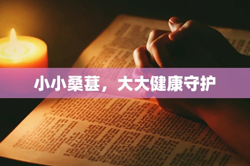 小小桑葚，大大健康守护