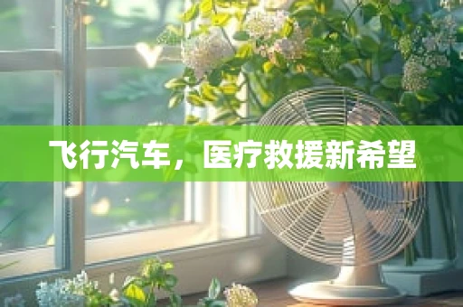 飞行汽车，医疗救援新希望