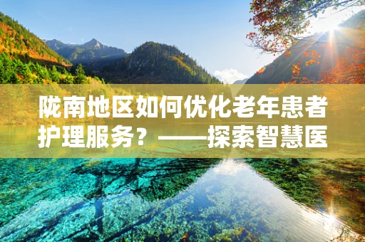 陇南地区如何优化老年患者护理服务？——探索智慧医疗的温暖角落