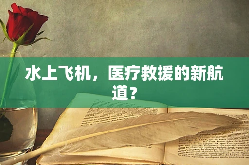 水上飞机，医疗救援的新航道？