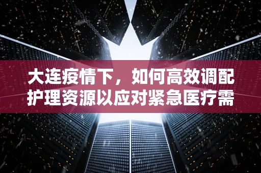 大连疫情下，如何高效调配护理资源以应对紧急医疗需求？