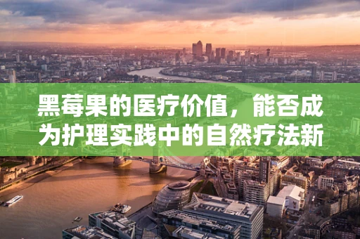 黑莓果的医疗价值，能否成为护理实践中的自然疗法新宠？