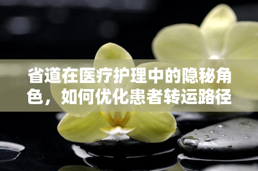省道在医疗护理中的隐秘角色，如何优化患者转运路径？