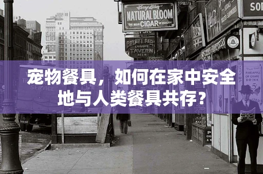 宠物餐具，如何在家中安全地与人类餐具共存？