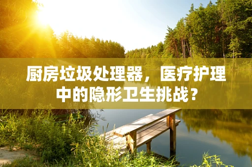 厨房垃圾处理器，医疗护理中的隐形卫生挑战？