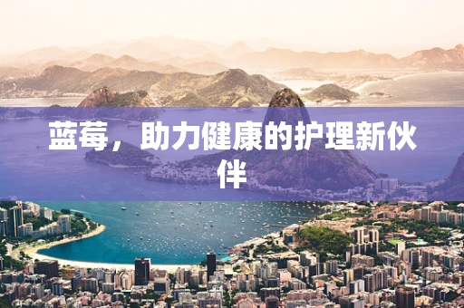 蓝莓，助力健康的护理新伙伴