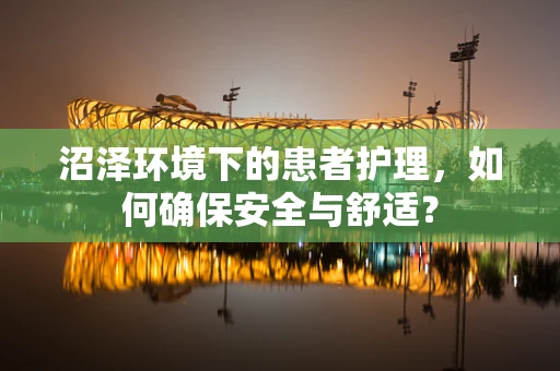 沼泽环境下的患者护理，如何确保安全与舒适？
