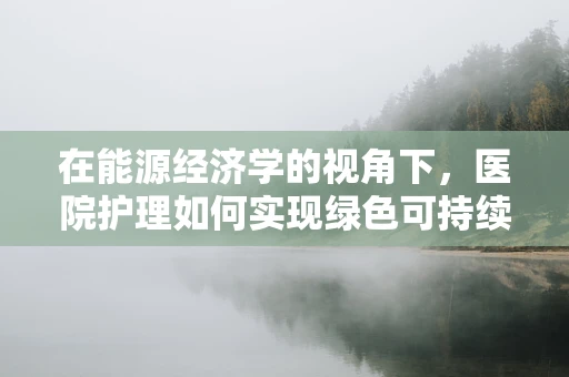 在能源经济学的视角下，医院护理如何实现绿色可持续？