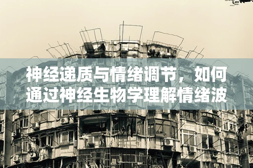 神经递质与情绪调节，如何通过神经生物学理解情绪波动？