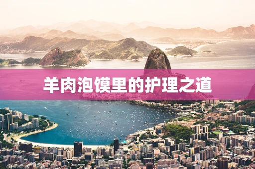 羊肉泡馍里的护理之道