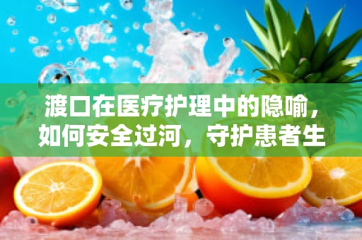 渡口在医疗护理中的隐喻，如何安全过河，守护患者生命之舟？
