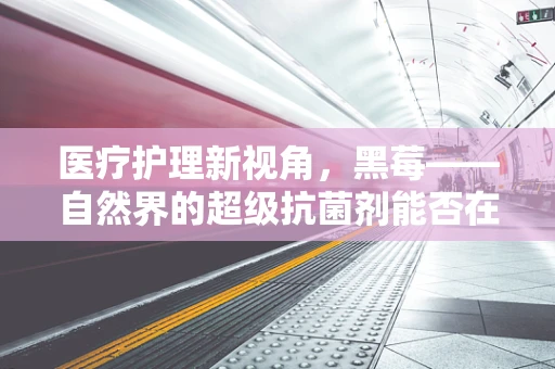 医疗护理新视角，黑莓——自然界的超级抗菌剂能否在病房管理中大放异彩？