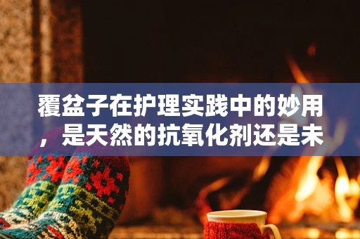 覆盆子在护理实践中的妙用，是天然的抗氧化剂还是未知的挑战？