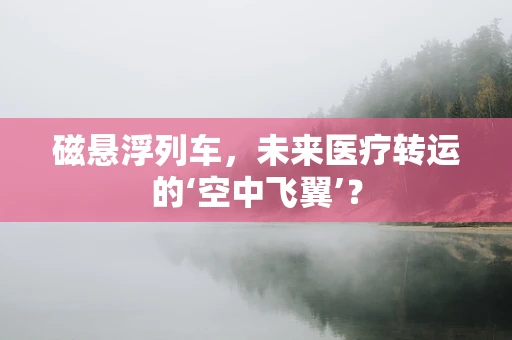 磁悬浮列车，未来医疗转运的‘空中飞翼’？