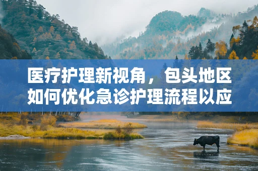 医疗护理新视角，包头地区如何优化急诊护理流程以应对突发公共卫生事件？