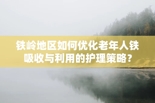铁岭地区如何优化老年人铁吸收与利用的护理策略？
