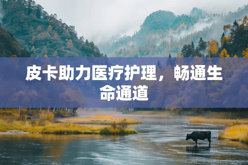 皮卡助力医疗护理，畅通生命通道