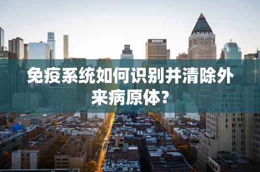 免疫系统如何识别并清除外来病原体？