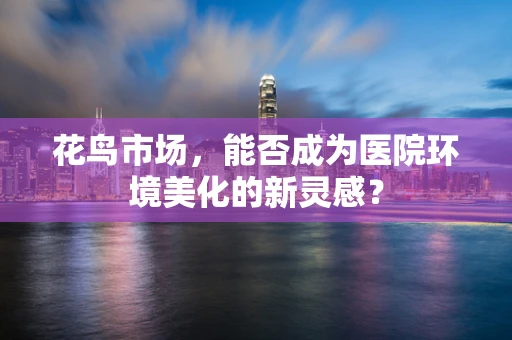 花鸟市场，能否成为医院环境美化的新灵感？