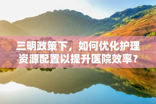 三明政策下，如何优化护理资源配置以提升医院效率？
