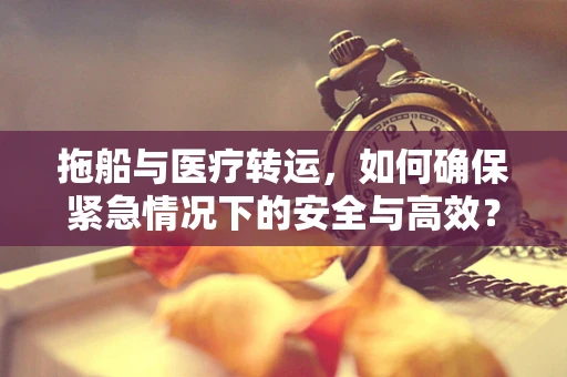 拖船与医疗转运，如何确保紧急情况下的安全与高效？