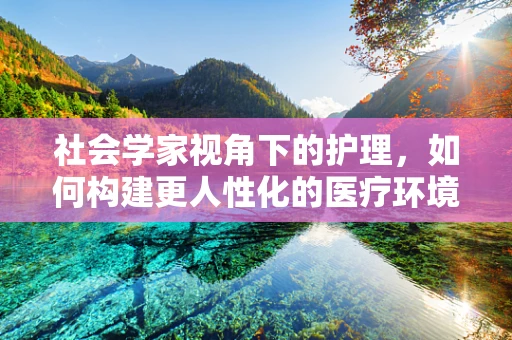社会学家视角下的护理，如何构建更人性化的医疗环境？