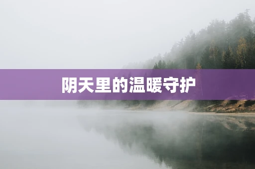 阴天里的温暖守护