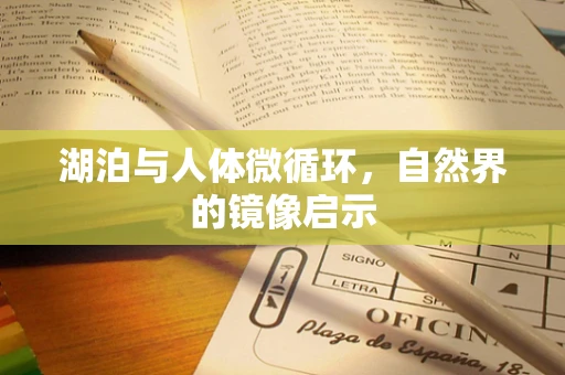 湖泊与人体微循环，自然界的镜像启示