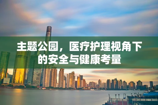 主题公园，医疗护理视角下的安全与健康考量