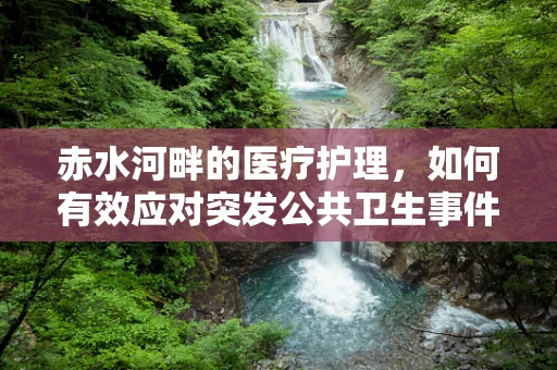 赤水河畔的医疗护理，如何有效应对突发公共卫生事件？