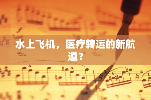 水上飞机，医疗转运的新航道？