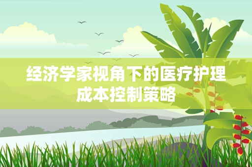 经济学家视角下的医疗护理成本控制策略