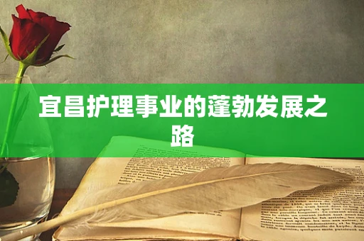 宜昌护理事业的蓬勃发展之路