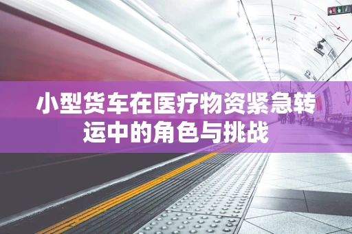 小型货车在医疗物资紧急转运中的角色与挑战