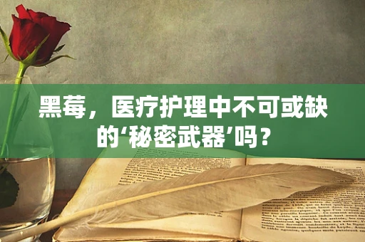 黑莓，医疗护理中不可或缺的‘秘密武器’吗？