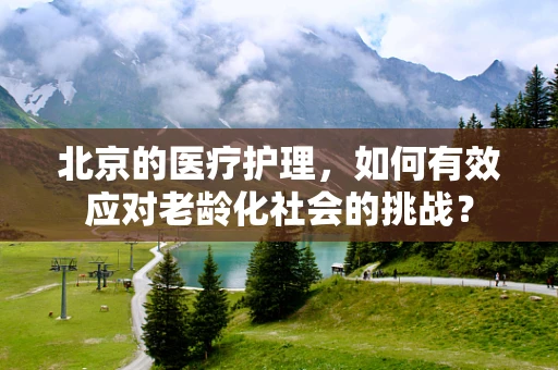 北京的医疗护理，如何有效应对老龄化社会的挑战？