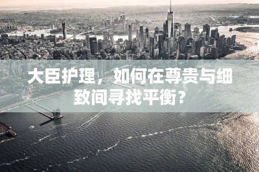 大臣护理，如何在尊贵与细致间寻找平衡？