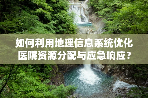 如何利用地理信息系统优化医院资源分配与应急响应？