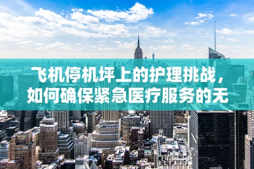 飞机停机坪上的护理挑战，如何确保紧急医疗服务的无缝对接？