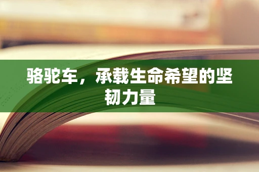 骆驼车，承载生命希望的坚韧力量