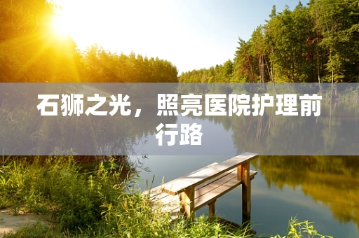 石狮之光，照亮医院护理前行路
