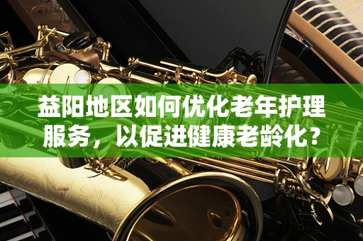 益阳地区如何优化老年护理服务，以促进健康老龄化？