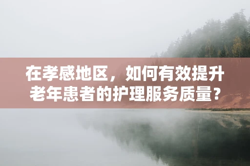 在孝感地区，如何有效提升老年患者的护理服务质量？