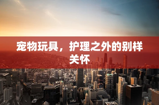 宠物玩具，护理之外的别样关怀