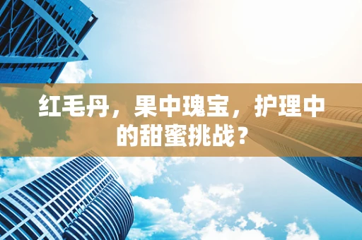 红毛丹，果中瑰宝，护理中的甜蜜挑战？